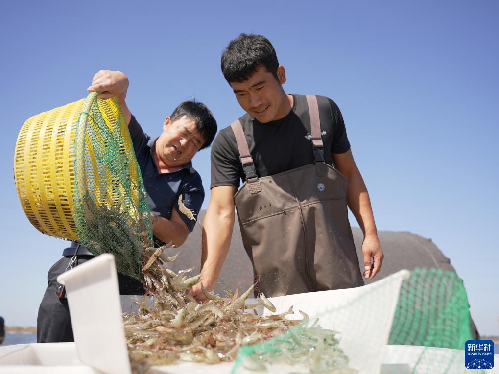 扑鱼达人电脑版游戏